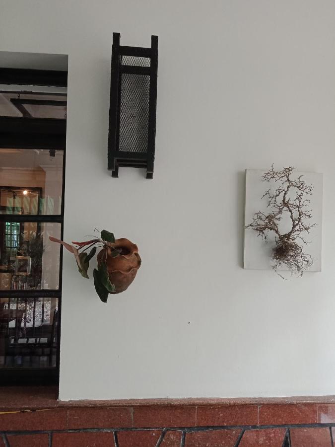 Da Lat 24H Guesthouse & Hotel Esterno foto