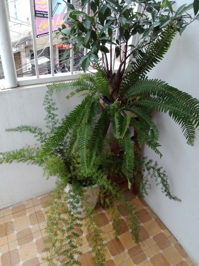Da Lat 24H Guesthouse & Hotel Esterno foto